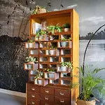 Het Maashuys Appartement *