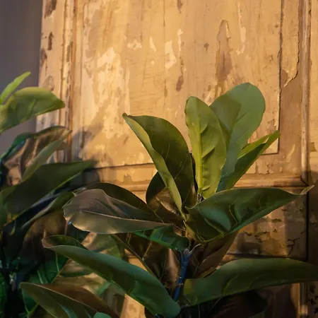 Het Maashuys Lägenhet *