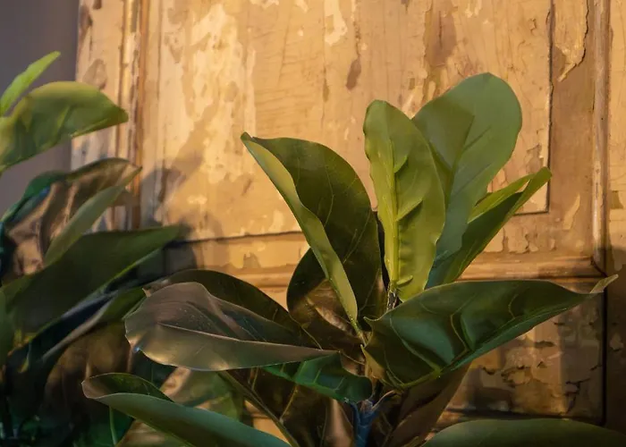 Het Maashuys Апартаменты *