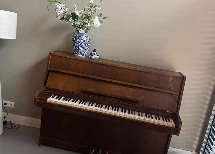 Het Maashuys * آرسين